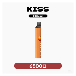 KIS5凱斯電子煙一次性/拋棄式菸桿 6500口